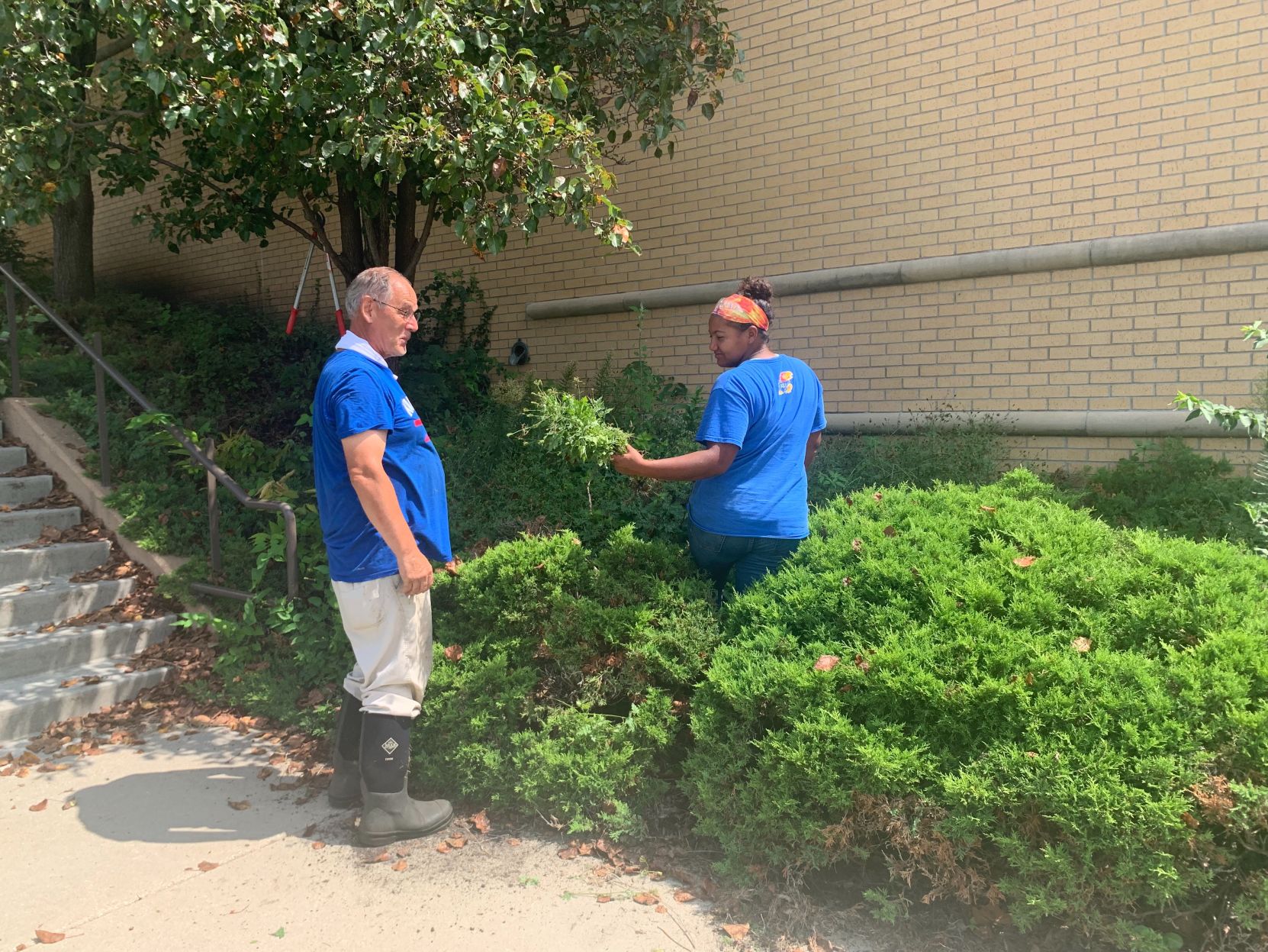 landscape workers